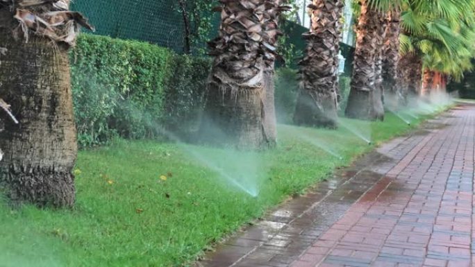 自动灌溉浇水系统草坪草护理