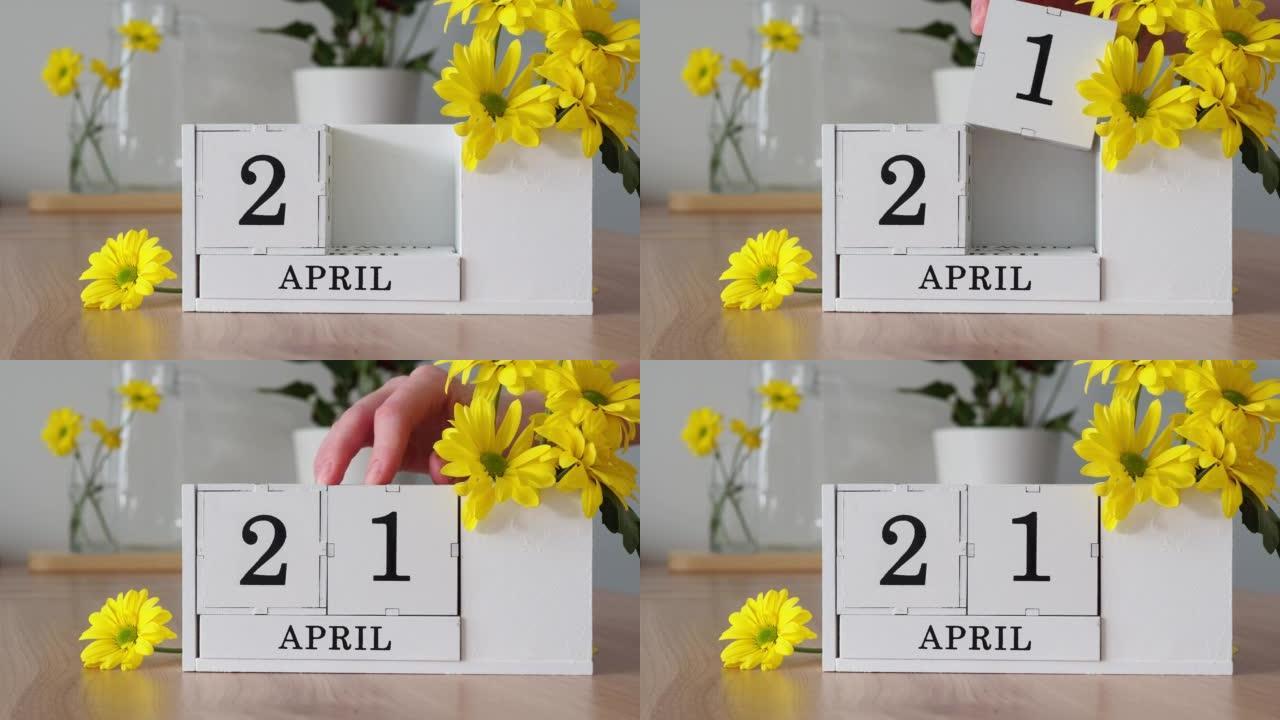春季月份4月21日。女人的手翻过一个立方历法。黄色花朵旁边的桌子上的白色万年历。在一个月内更改日期。