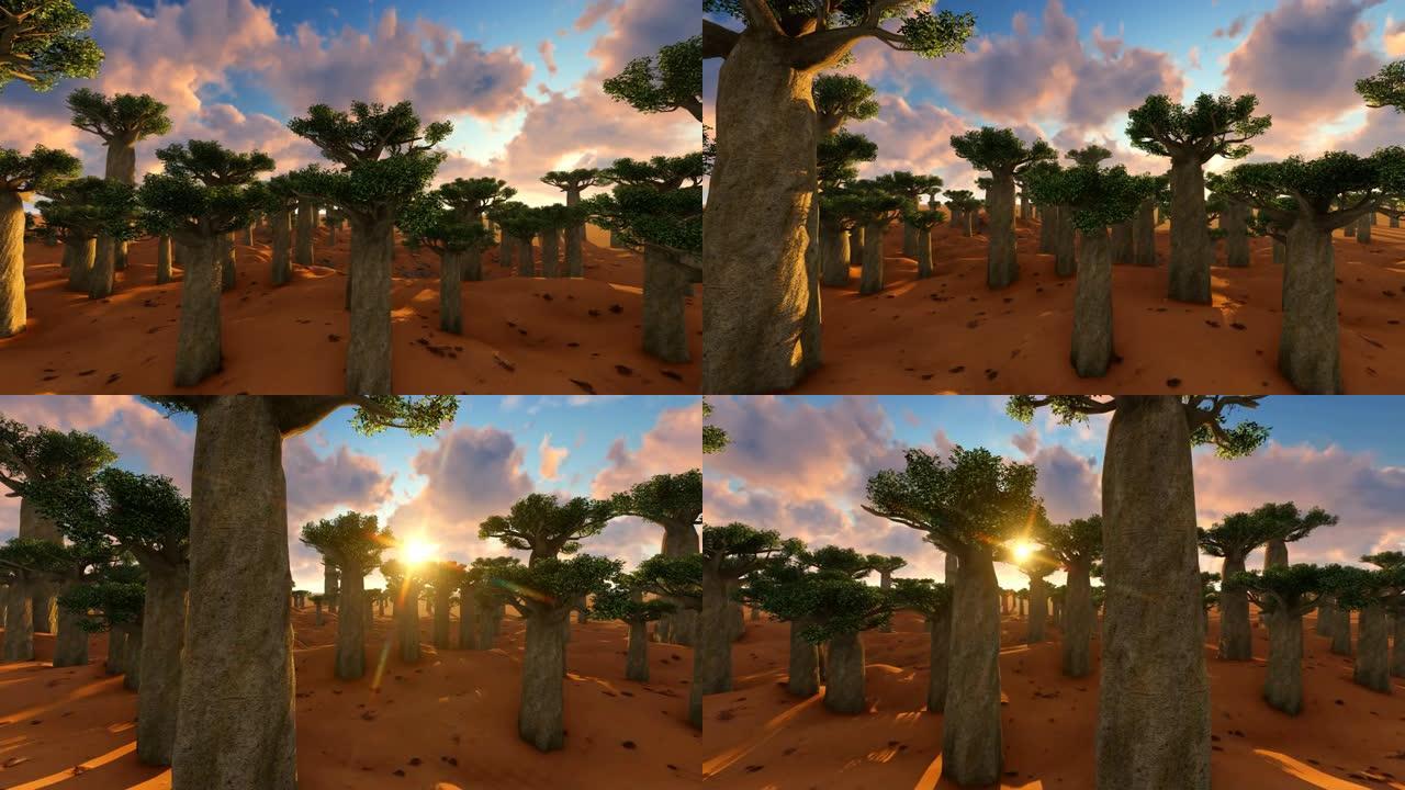 日落时非洲景观中的猴面包树