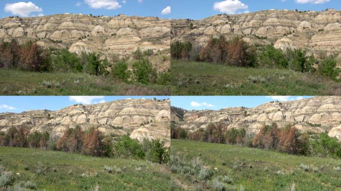 北达科他州西奥多·罗斯福国家公园的岩层和不同纹理