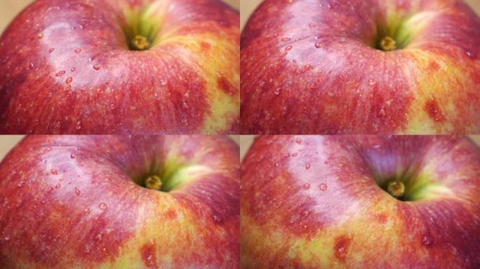 苹果果皮上的水滴，特写。加拉品种的苹果果实。