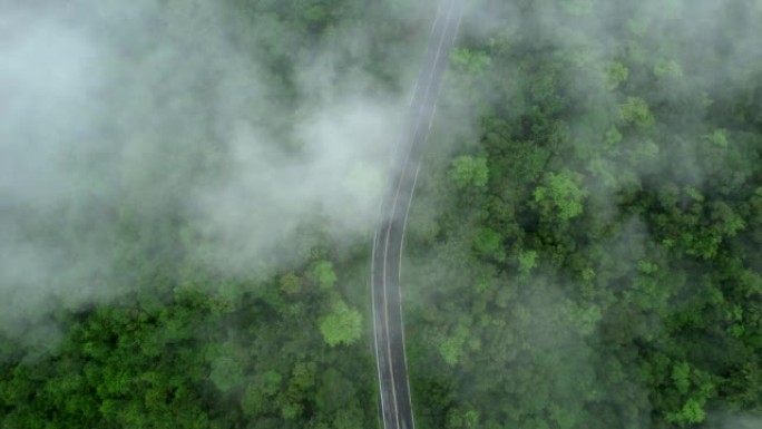 空中无人机电影拍摄的汽车和道路在早上下雨后越过山顶，有雾和绿色森林。