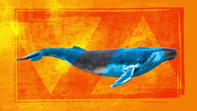 游泳蓝鲸。带有垃圾绘制形状的抽象艺术概念。逼真的3d角色动物。创意定格风格的背景。图形彩色设计。卡通