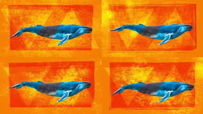游泳蓝鲸。带有垃圾绘制形状的抽象艺术概念。逼真的3d角色动物。创意定格风格的背景。图形彩色设计。卡通