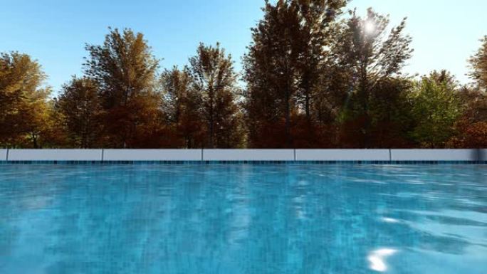 室外游泳池水面与树木背景无缝视频循环动画。
