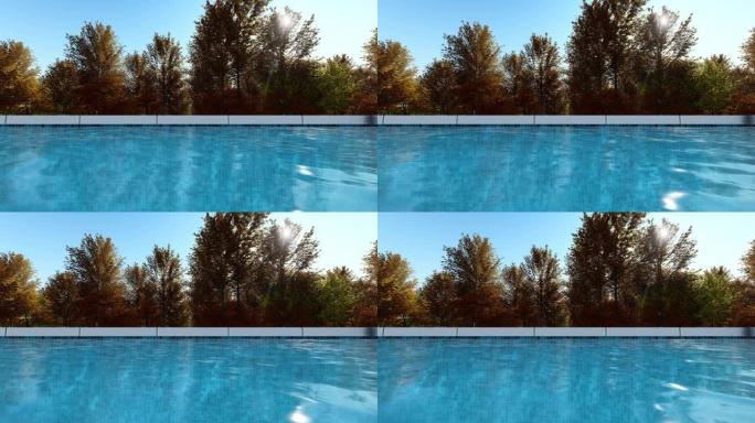 室外游泳池水面与树木背景无缝视频循环动画。