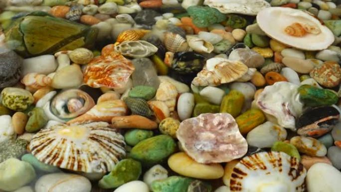 水下的贝壳和石头。表面上的涟漪。