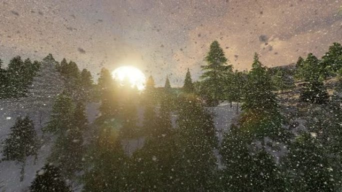 山里美丽的冬季风景。升起的太阳地面和树木覆盖着厚厚的蓬松的雪