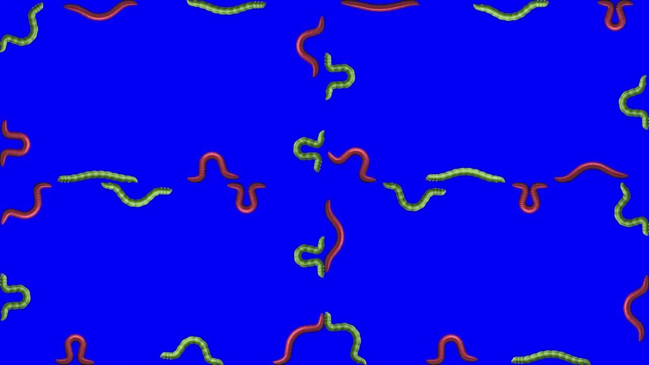 蓝色的毛虫和蠕虫，循环3D动画