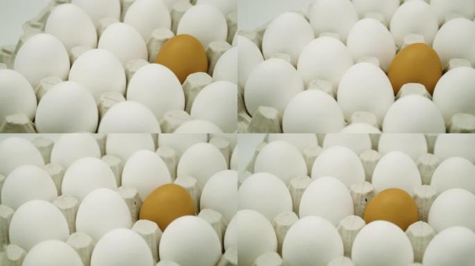 一大盘鸡蛋正在旋转。鸡肉白色新鲜生鸡蛋和单独的棕色鸡蛋