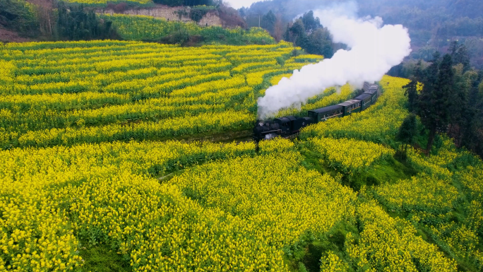 嘉阳蒸汽小火车段家湾油菜花