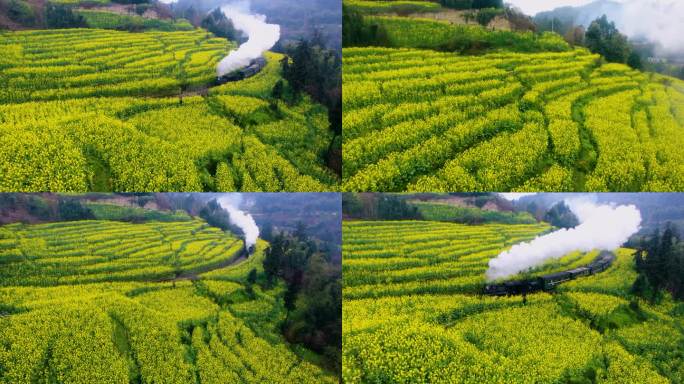 嘉阳蒸汽小火车段家湾油菜花