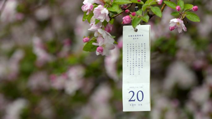 谷雨 日期 下雨 4月20日