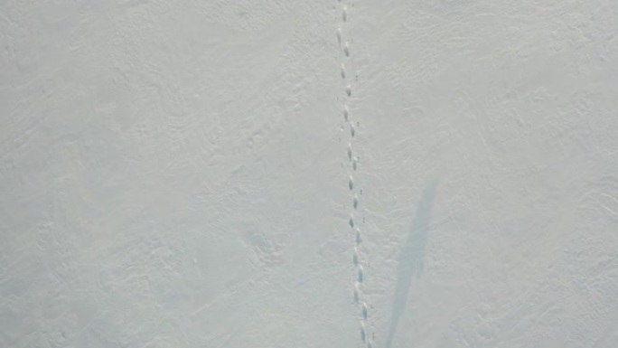 摄像机沿着一个男人在白雪皑皑的沙漠中孤独的脚印移动，并赶上了一个孤独的旅行者。在极冷条件下生存的概念