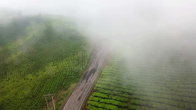 印度尼西亚西爪哇省万隆摄政区茶园雾蒙蒙的美丽航拍画面。以4k分辨率拍摄
