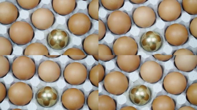 许多棕色鸡蛋和一个金色鸡蛋依次俯视图。托盘中的生鸡蛋