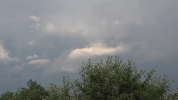 灰色多雨的天空和树梢上的一朵白云。