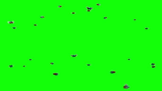 成群的苍蝇。卡通风格的3D动画。绿色屏幕，可循环。