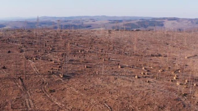 由于4k以上的气候变化而砍伐的森林
