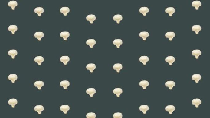 新鲜蘑菇的多彩图案。与champignon无缝图案。顶视图。逼真的动画。4k视频运动