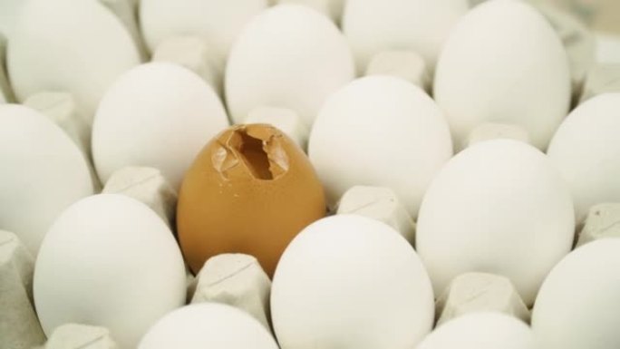 鸡白新鲜生鸡蛋和单独碎棕色鸡蛋。大盘鸡蛋正在旋转