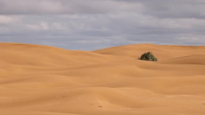 沙漠景观，云层的阴影穿过沙丘