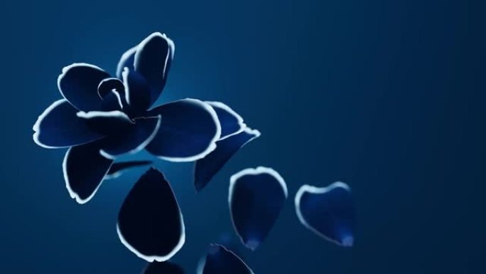蓝色花朵环侧视图动态动画花朵