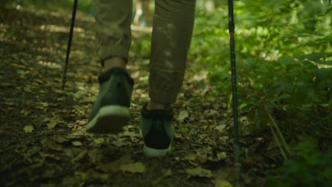 背包客在树林里徒步旅行。登山靴的低角度视图