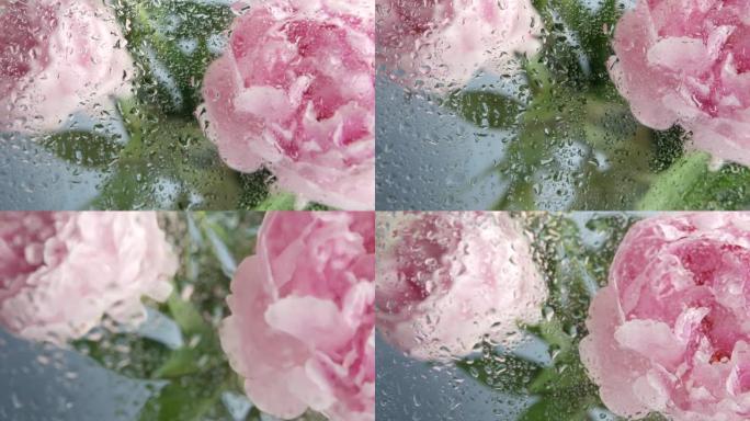 水雨滴，湿窗玻璃，牡丹花盛开。植物花卉