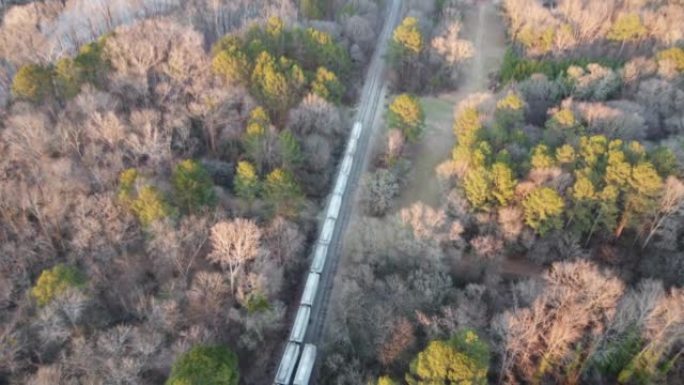 火车轨道和森林