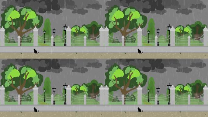 动画一只孤独的黑猫在城市公园的雨中淋湿