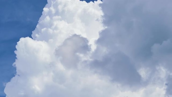 夏季蓝天上形成的白色浮肿积云的延时。移动和变化的云景天气
