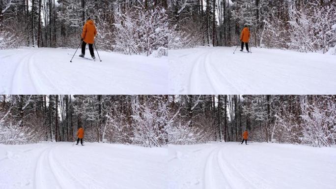 滑雪者在帽子上的滑雪板上滑冰，手里拿着绒球，手里拿着滑雪杖，在白雪皑皑的森林里滑冰。冬季森林越野滑雪