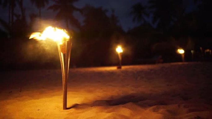 一排自然少女火把在孤独的沙滩上发光，作为古代仪式舞蹈的一部分。黑暗的夜晚手持4k镜头。异国情调的地方