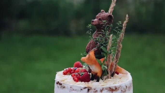 蛋糕的顶部是熊和狐狸的可食用人物。拍摄美味佳肴