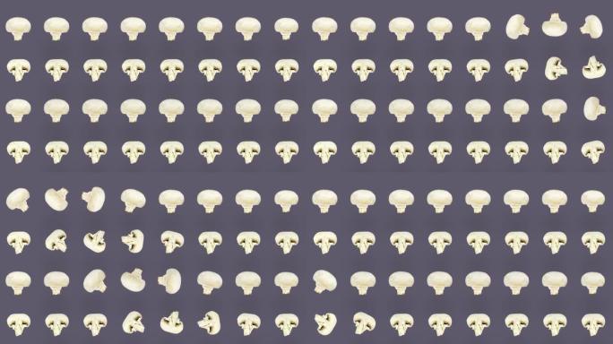 新鲜蘑菇的多彩图案。无缝图案与香菇切片。顶视图。波普艺术设计。逼真的动画。4k视频运动