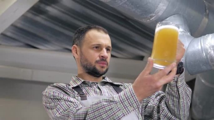 一位成功的专家白种人白啤酒酿造商，留着胡须，站在啤酒厂时，评估从啤酒罐中酿造的新鲜啤酒。一家现代化的