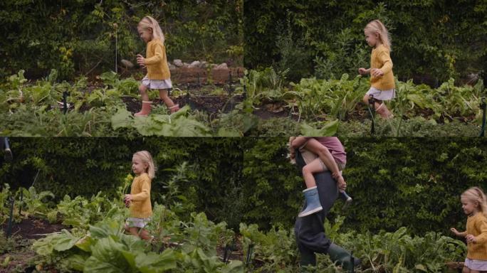 可爱的小女孩在农场里跟在妈妈和哥哥后面跑