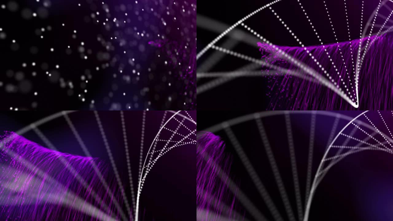 黑色背景上带有紫色光迹的dna链旋转的动画