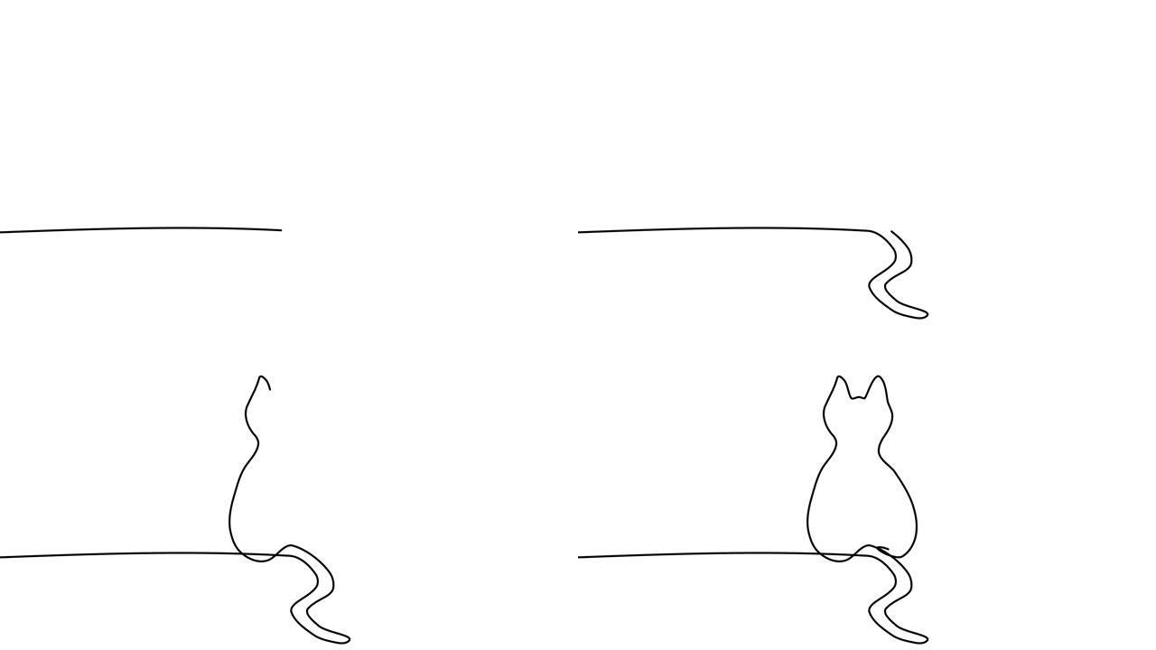 用耳朵自画动画猫。猫在白色背景上手绘黑线动画。自绘简单动画。一条线小猫的连续绘制。4k镜头