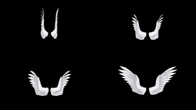 天使之翼动画循环4k股票视频