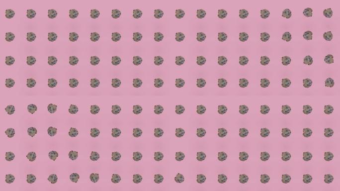 粉红色背景上的新鲜巧克力曲奇的彩色图案。带有cookie的无缝模式。顶视图。逼真的动画。4k视频运动