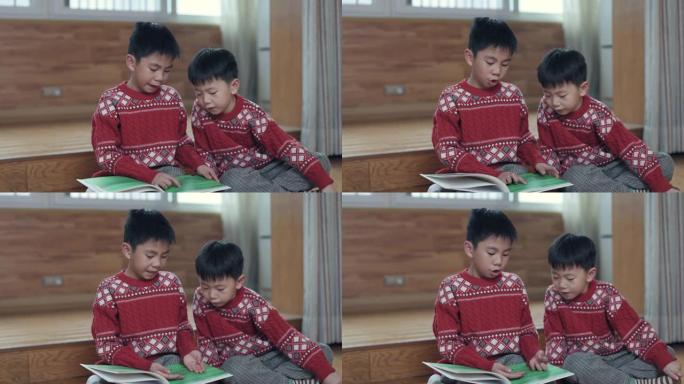 兄弟在客厅看书