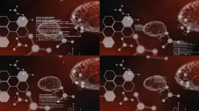红色背景上数字大脑上的数据处理动画