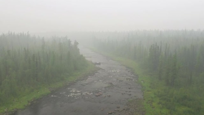 雾中的森林雾霾大雾河流溪流小河