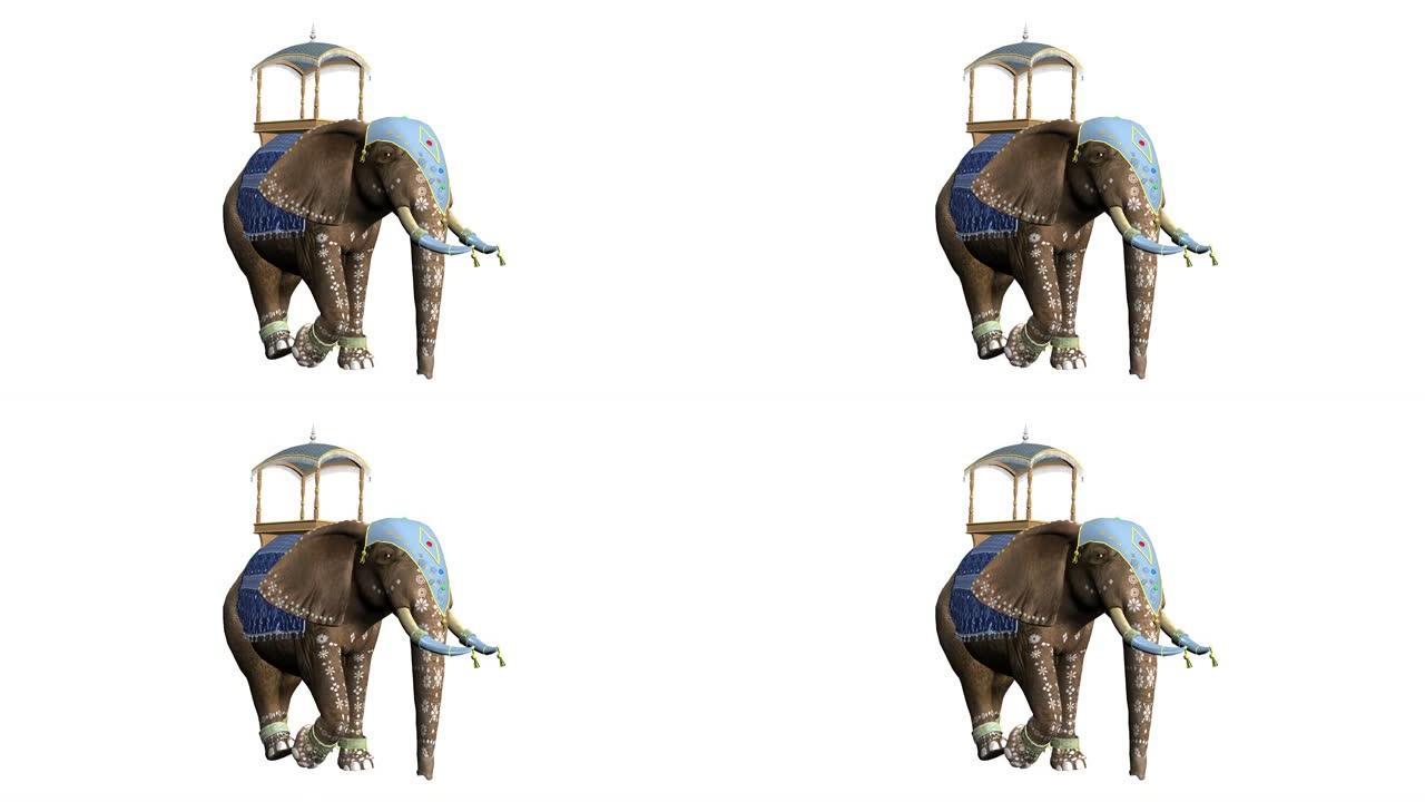 大象行走，循环，动画