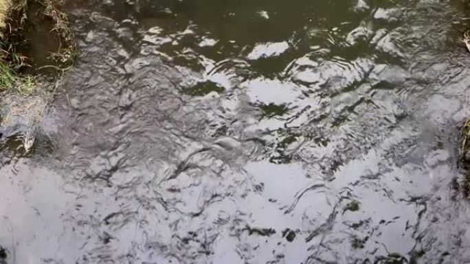 河流的俯视图水流