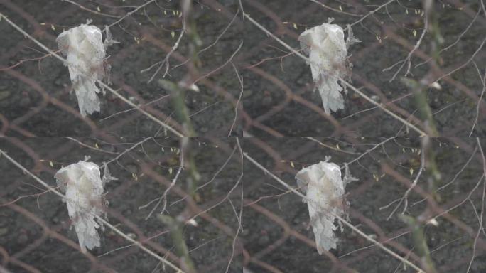 在河流的背景下，一个旧塑料袋挂在树枝上。前面是一个几乎不明显的金属网。