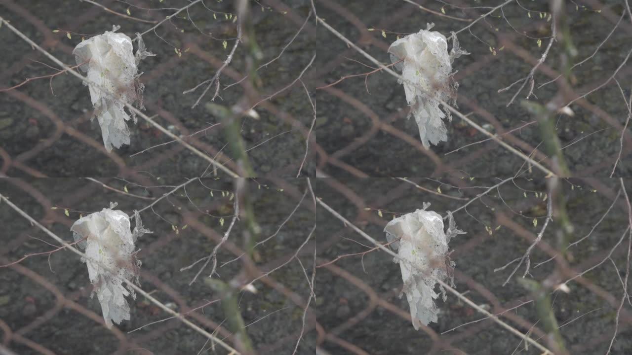 在河流的背景下，一个旧塑料袋挂在树枝上。前面是一个几乎不明显的金属网。