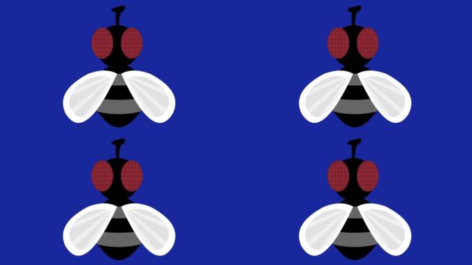 苍蝇移动翅膀的昆虫的动画循环